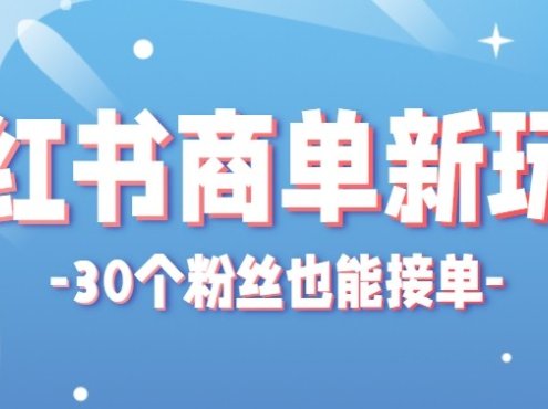 合新手小白操作的小红书商单新玩法，低粉丝也能接单，一个月接三单赚了150+！