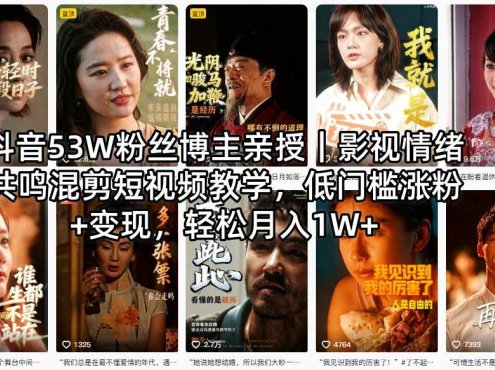 抖音53W粉丝博主亲授｜影视情绪共鸣混剪短视频教学，低门槛涨粉+变现，轻松月入1W+