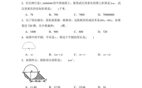 六年级下小升初数学压轴题专项练习