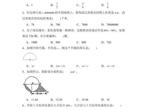 六年级下小升初数学压轴题专项练习