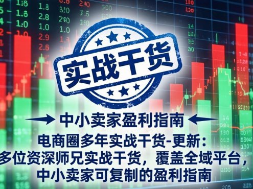 电商圈多年实战干货-更新5月10：多位资深师兄实战干货/覆盖全域平台，中小卖家可复制的盈利指南