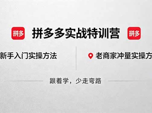 拼多多实战特训营(更新5月15