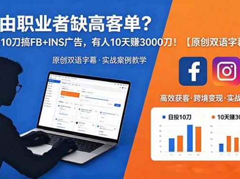自由职业者缺高客单？日投 10 刀搞 FB+INS 广告，有人 10 天赚 3000 刀！【原创双语字幕】