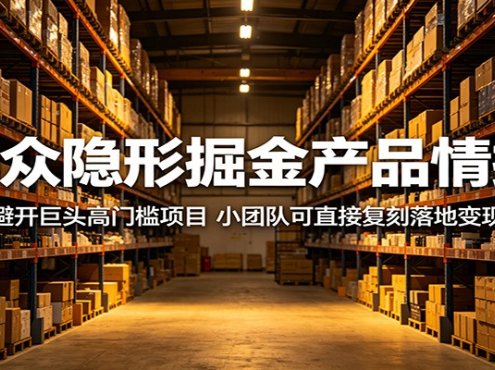 小众隐形掘金产品情报：避开巨头高门槛项目，小团队可直接复刻落地变现