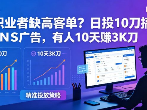 自由职业者缺高客单？日投10刀搞FB+INS广告，有人10天赚3K刀！【原创双语字幕】