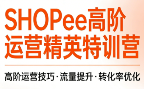 梦凡老师·Shopee虾皮高阶运营课程(更新5月)