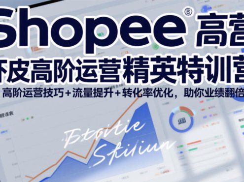 Shopee虾皮高阶运营精英特训营，高阶运营技巧+流量提升+转化率优化，助你业绩翻倍(更新26年5月)