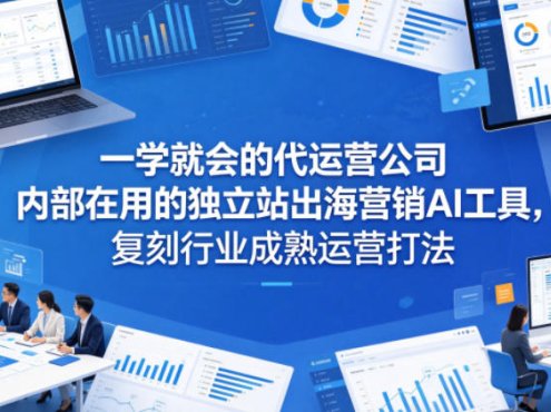 一学就会的代运营公司内部在用的独立站出海营销AI工具,复刻行业成熟运营打法