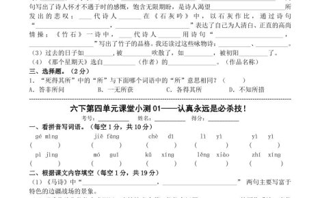 六年级下语文第四单元课堂小测