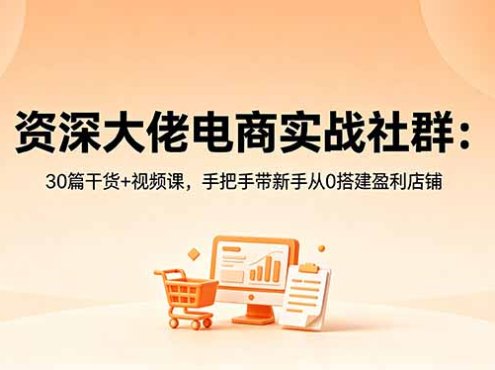 资深大佬电商实战社群：30篇干货+视频课，手把手带新手从0搭建盈利店铺