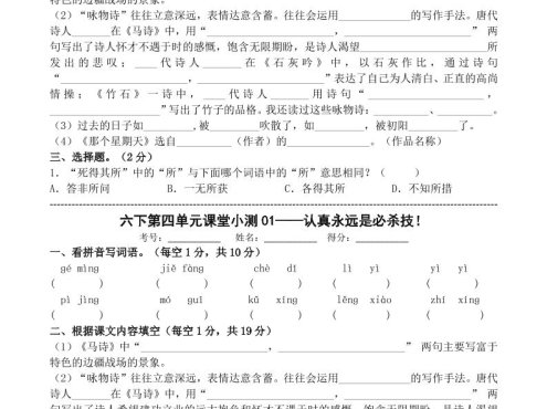 六年级下语文第四单元课堂小测