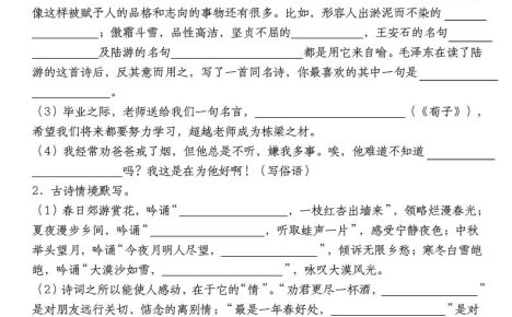 六年级下语文【名句名言警句积累默写高频考点(情境默写)】