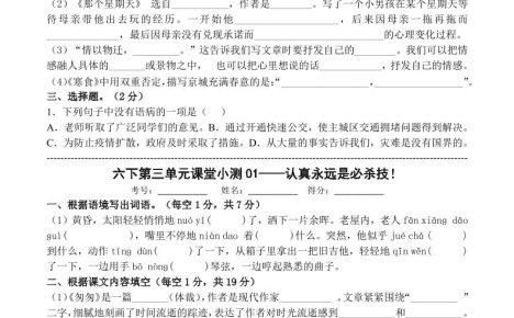 六年级下语文第三单元课堂小测