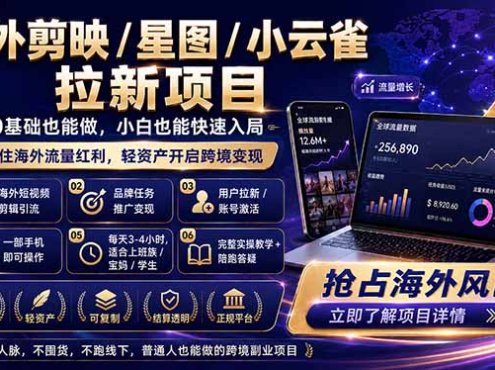 海外剪映 / 星图 / 小云雀拉新项目 普通人也能上手的跨境流量变现副业