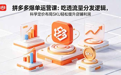 拼多多爆单运营实战课:吃透流量分发逻辑,科学定价布局SKU轻松提升店铺利润