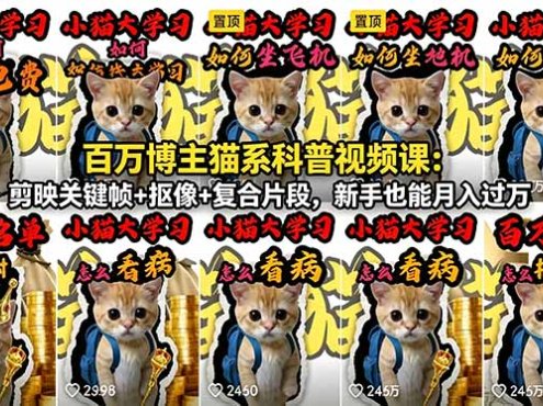 百万博主猫系科普视频课：剪映关键帧+抠像+复合片段，新手也能月入过万