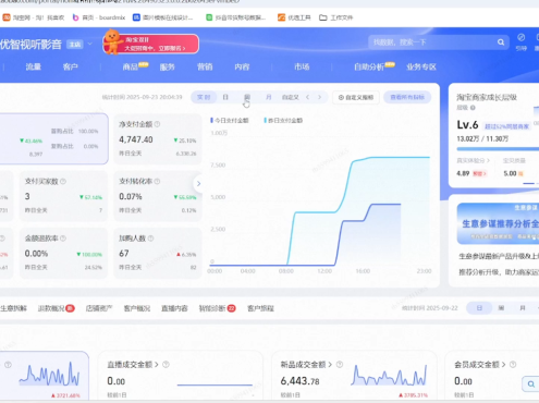 幕思城·淘宝培训VIP课程(更新7月)